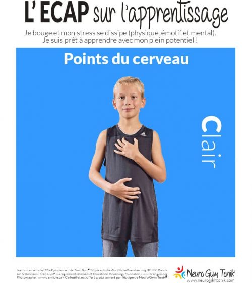 points-du-cerveau points du cerveau